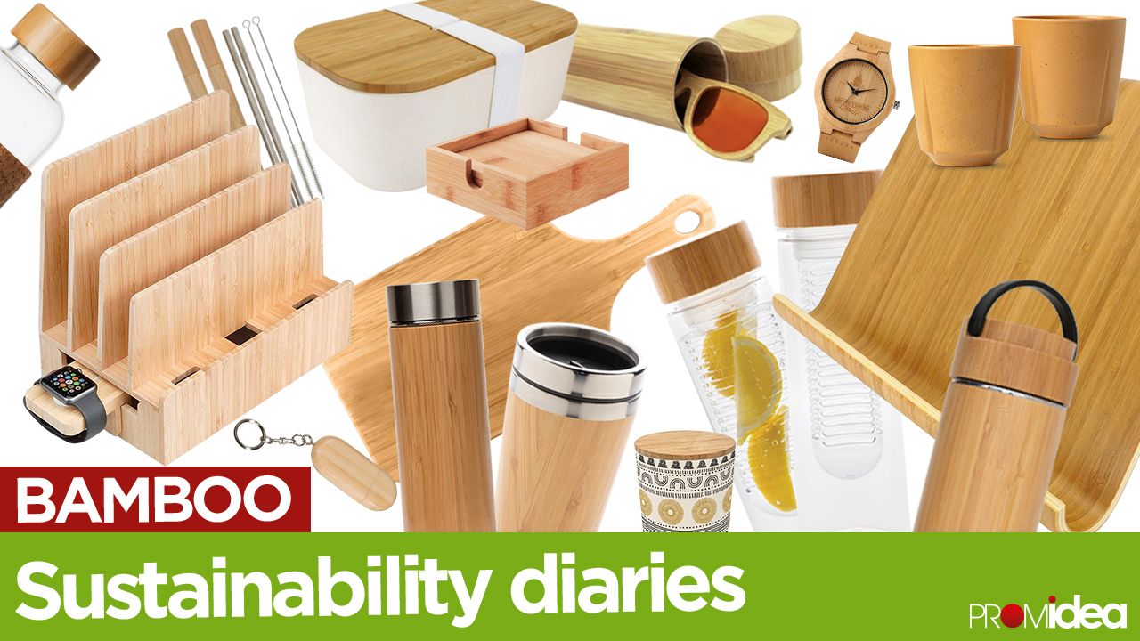 Sustainability Diaries: Chapter 2 - Bamboo